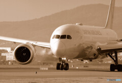 Gift of December 24・787