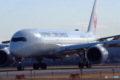 伊丹の空へ✈JA03XJ