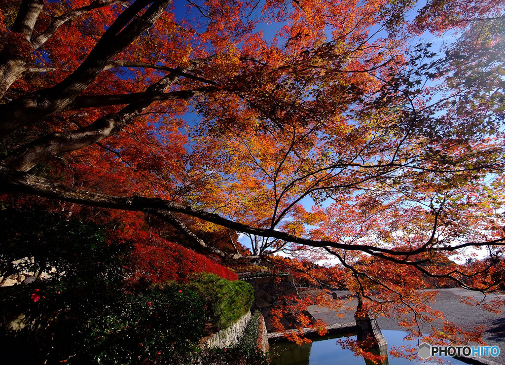 色と光のSymphony