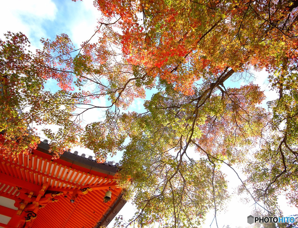 紅葉散歩・勝尾寺