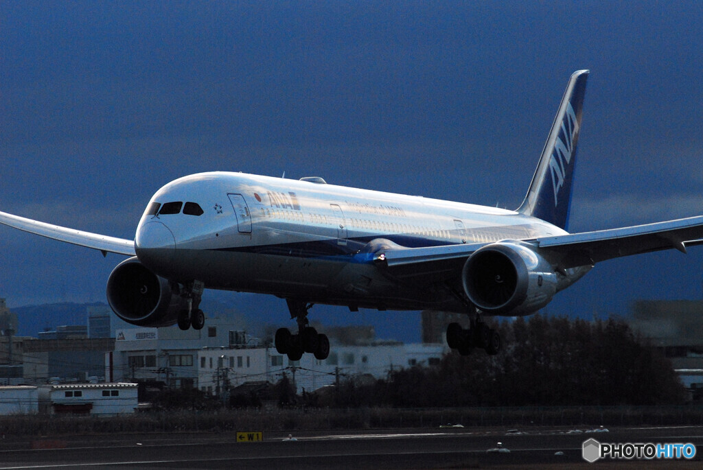 Christmas Wings✈Boeing 787-9
