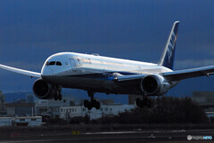 Christmas Wings✈Boeing 787-9