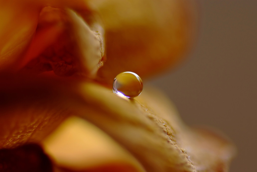 琥珀の想い・雫