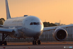Morning of the 13th✈Dreamliner 