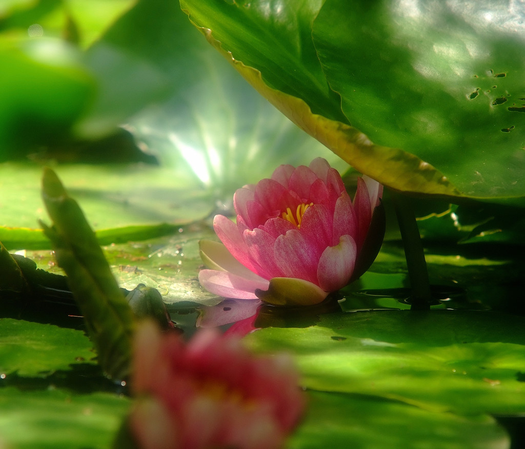 永遠・睡