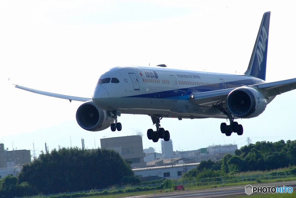 ITMの朝✈Boeing 787-9