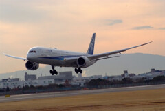 魅せられて✈Boeing787-10