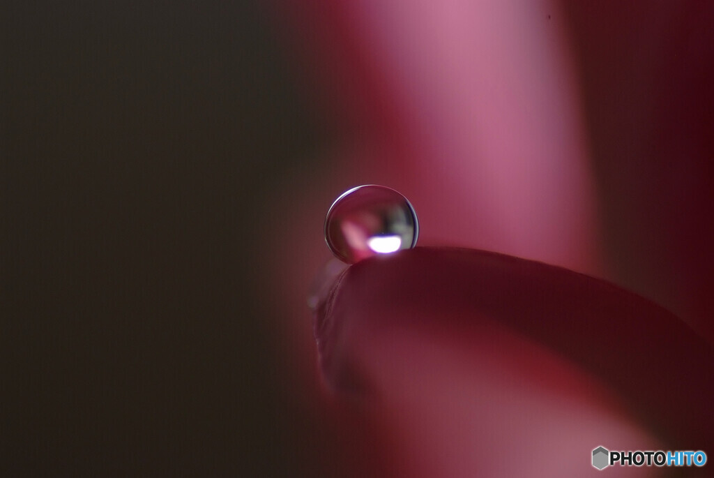 皐月の真珠✾恋