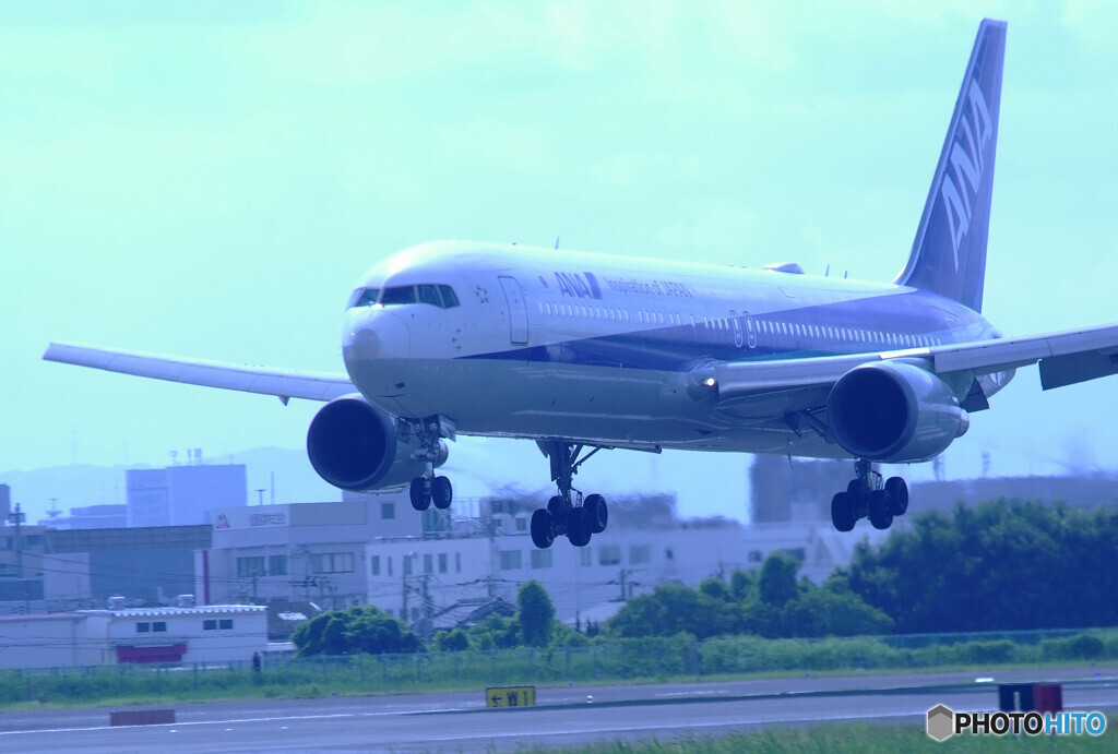 August WingsⅡ✈767