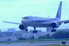 August WingsⅡ✈767