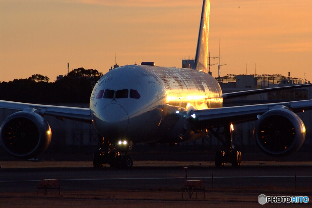 俺の朝焼け✈Boeing 787-8 Dreamliner
