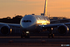 俺の朝焼け✈Boeing 787-8 Dreamliner