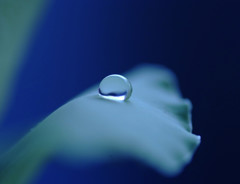 贈り物・雫