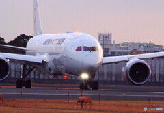 Natural Light✈Boeing 787-8