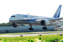 September morningⅤ✈Dreamliner