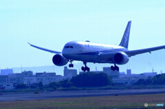 蒼の世界へⅣ✈Boeing 787