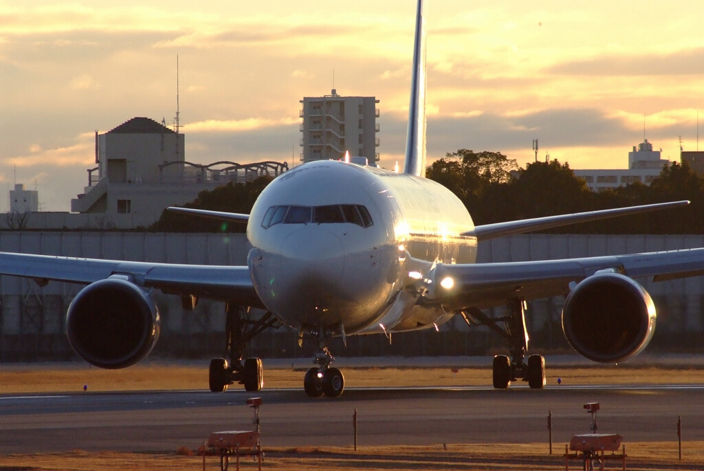 嘉月の朝✈Boeing767-300