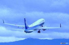 Blue Sky Blue・737