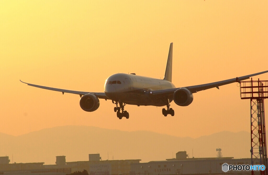 2月の旅人Ⅳ✈Boeing 787-8Dreamliner