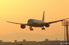 2月の旅人Ⅳ✈Boeing 787-8Dreamliner