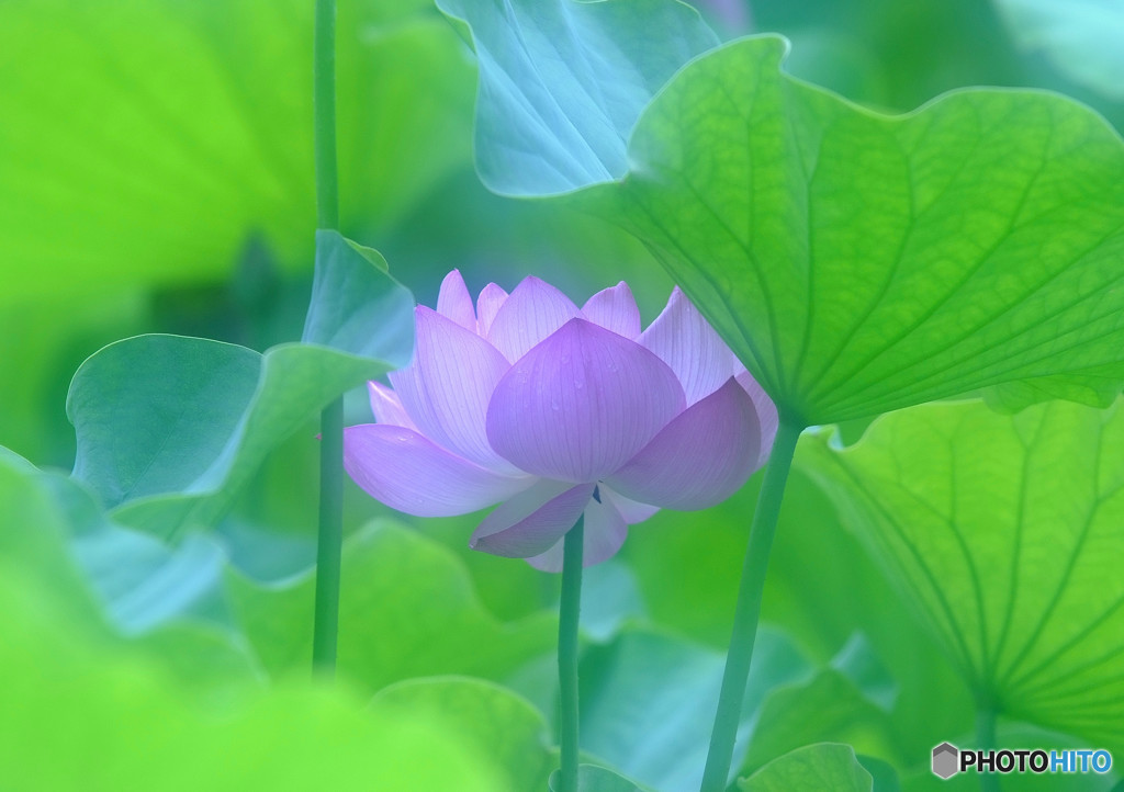 お会いできるのを楽しみに