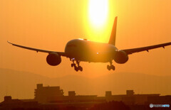 希望の灯2022✈Dreamliner