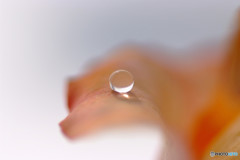 記憶の旅人・雫