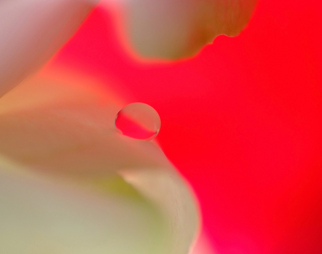 ０(ゼロ)の世界Ⅱ・雫