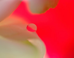 ０(ゼロ)の世界Ⅱ・雫