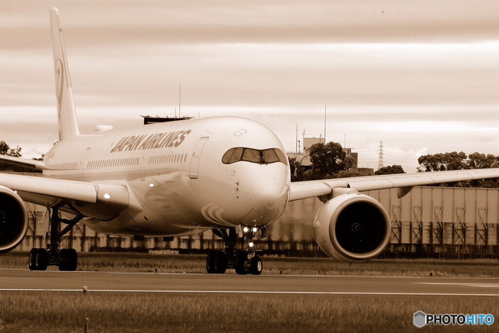 Delusional trip✈JAL