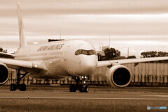 Delusional trip✈JAL