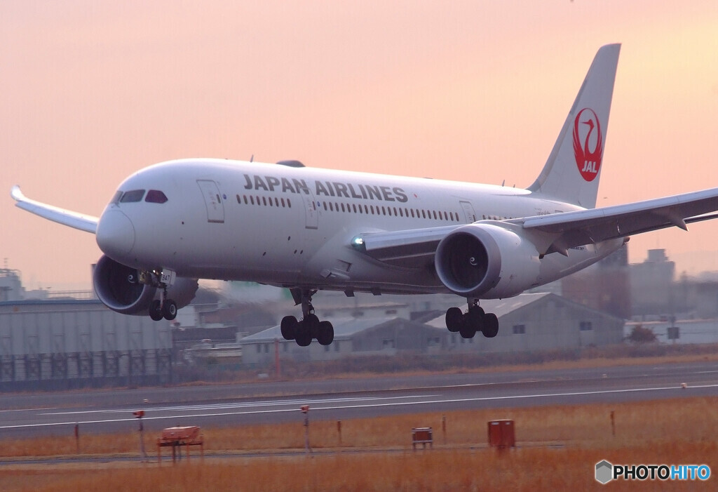 希望の翼2020✈787-8