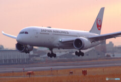 希望の翼2020✈787-8