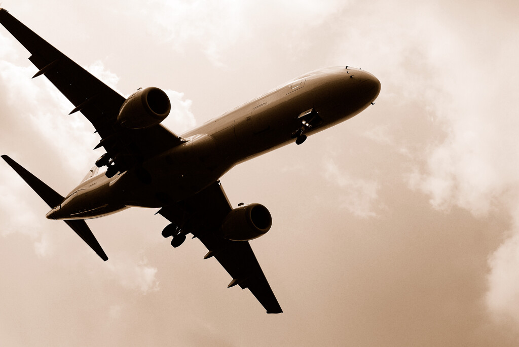 Good Morning Show・聖