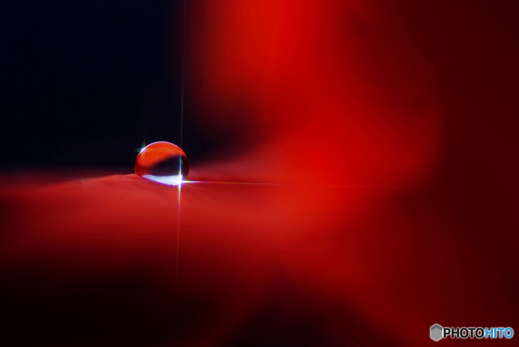 薔薇の誘惑✿雫