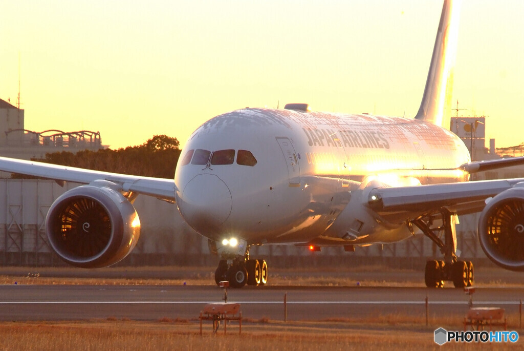 2021START LINE✈787-8