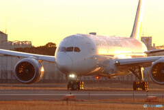 2021START LINE✈787-8