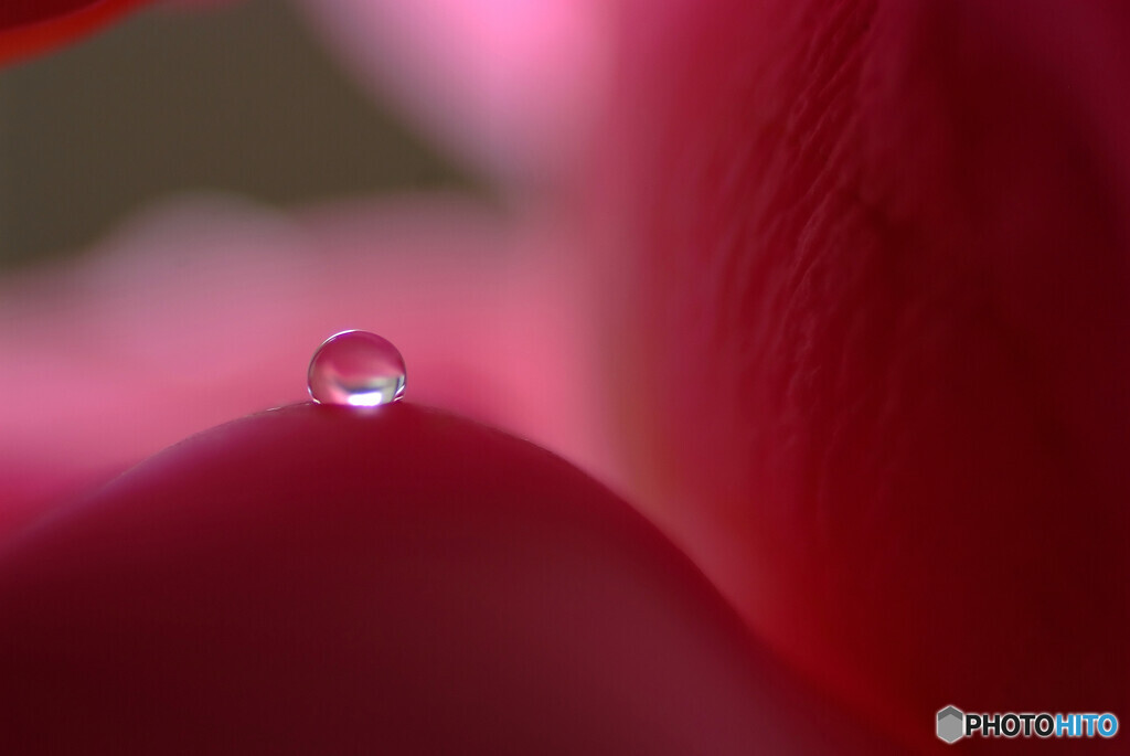 雫に願いを♪和