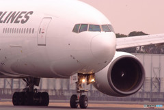 To the world of pink・J