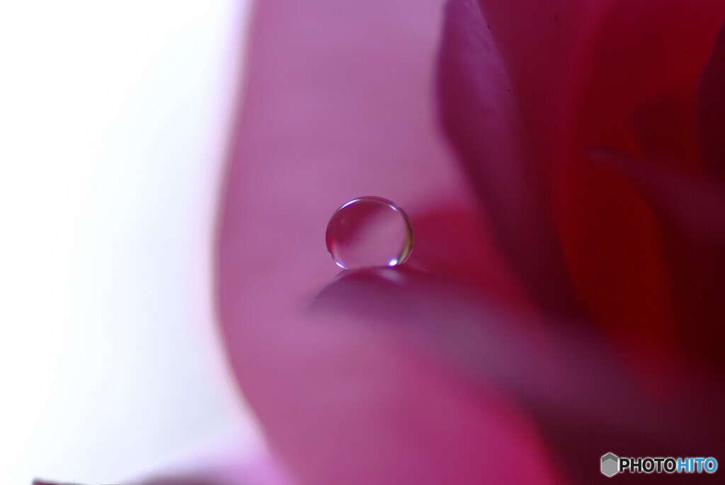 七夕月の想✿雫