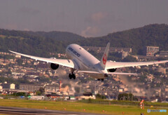 いい日旅立ち2020夏✈Dreamliner 