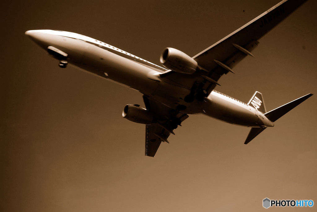 夏の翼・千里川