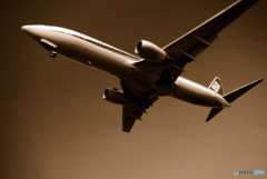 夏の翼・千里川