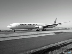 白の世界へ・JA751J