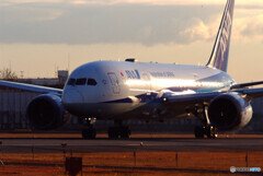 極月の翼✈Dreamliner