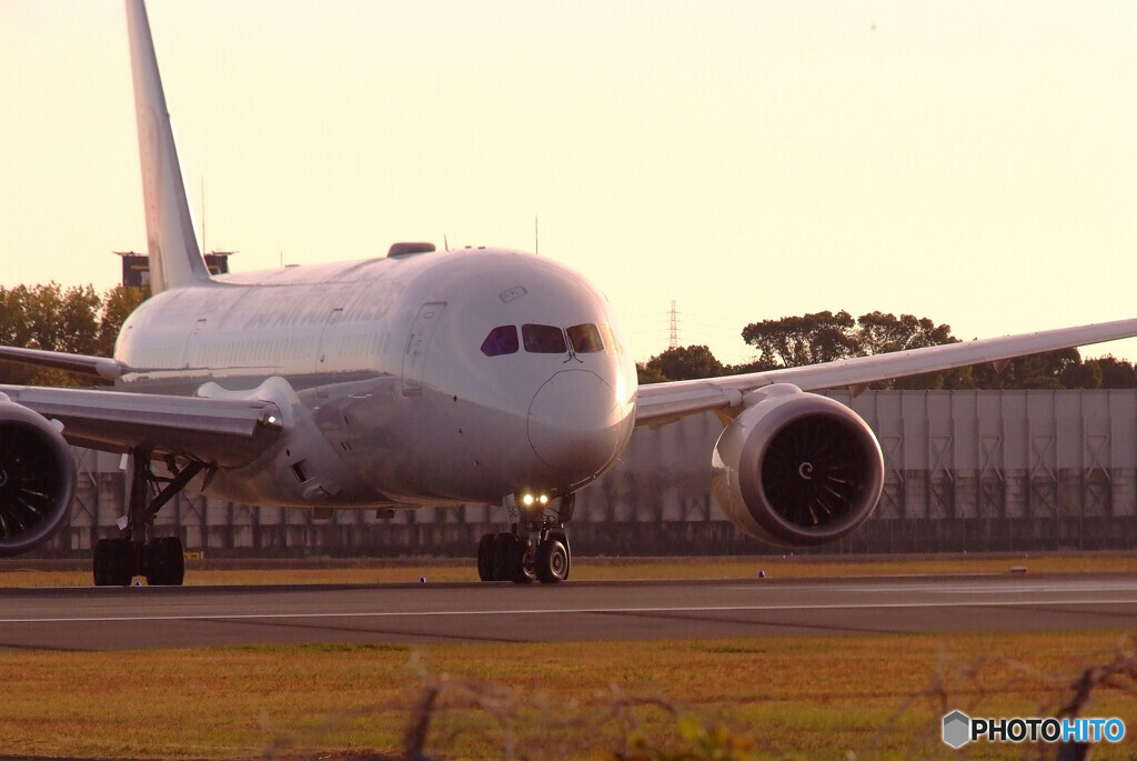 戦士の休息✈787-8 Dreamliner