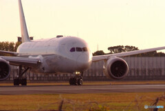 戦士の休息✈787-8 Dreamliner