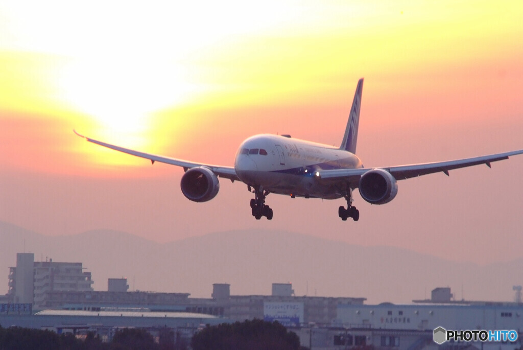 Eternal Brilliance✈787