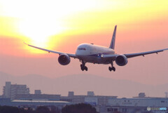 Eternal Brilliance✈787
