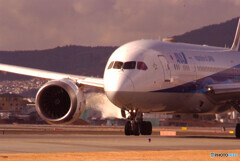 Good Luck✈Boeing 787-8